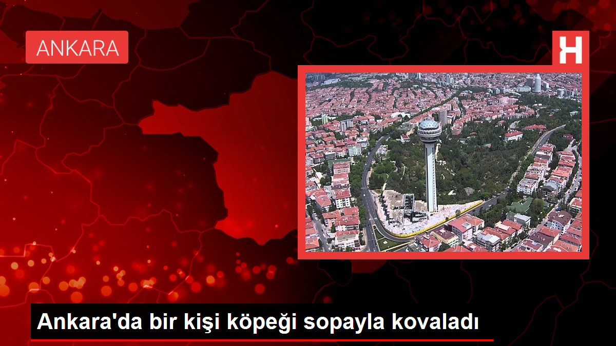 Ankara'da bir kişi köpeği sopayla kovaladı